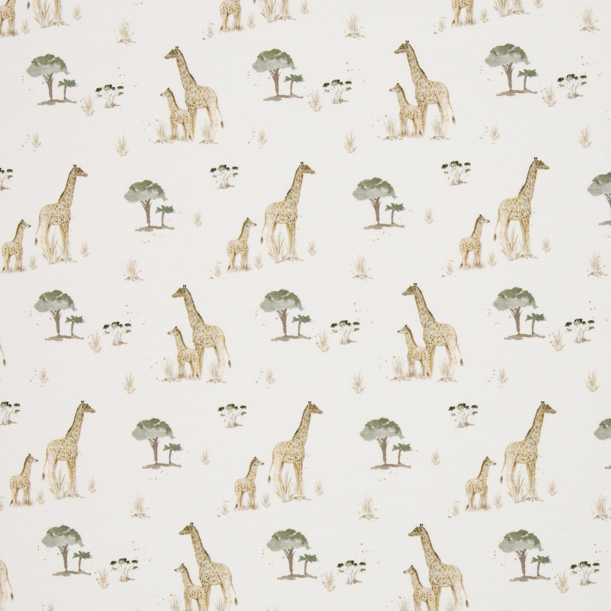1000004567.jpg Welt der Giraffen – Bild 1