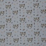 Der kleine Waschbär