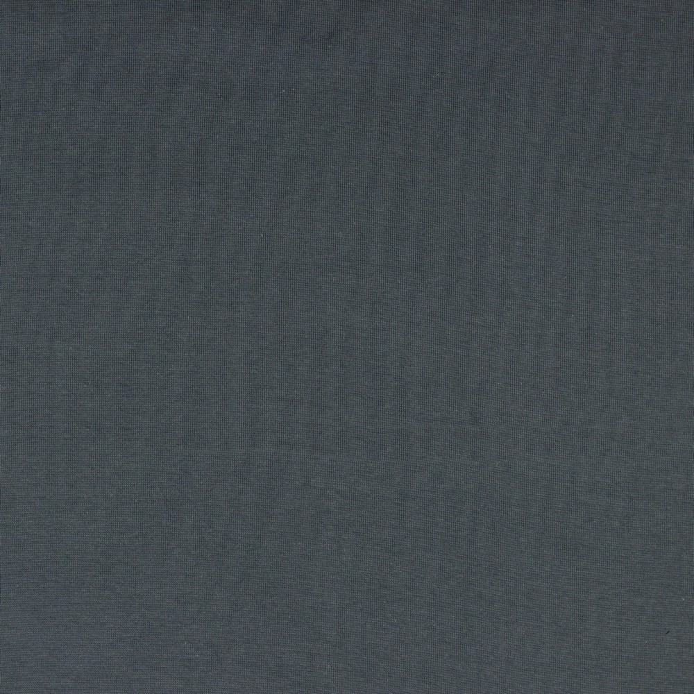 350-100-UJ-23 Jersey Uni - Anthracite - GOTS – Bild 1