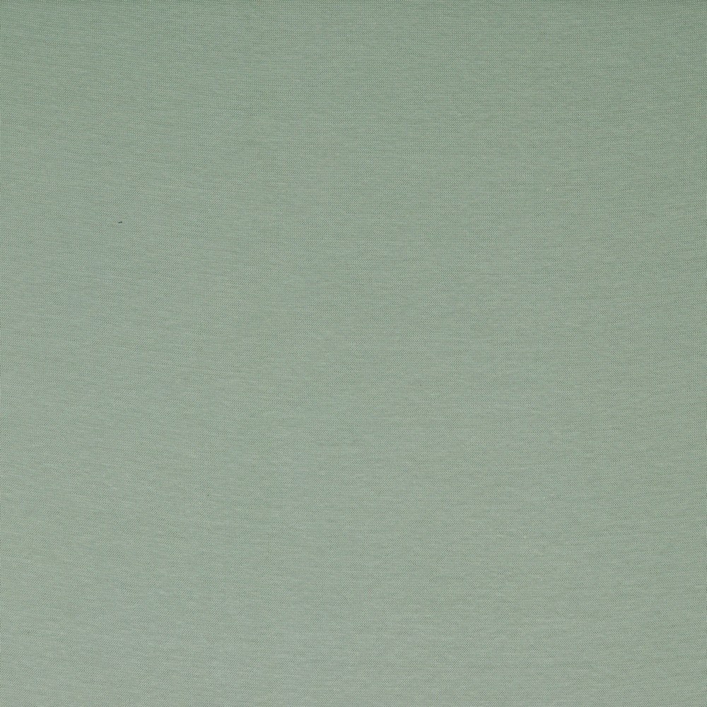 SAGE Jersey Uni - Sage - GOTS – Bild 1