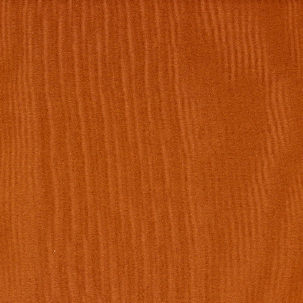 e Jersey Uni - Amber - GOTS – Bild 1