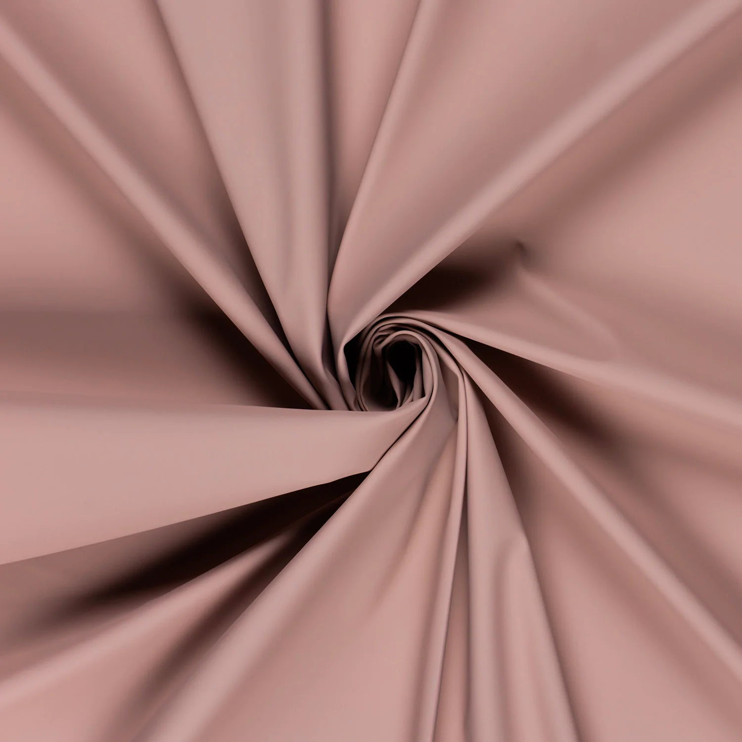 Rosa_012 Uni - Rosa – Bild 1