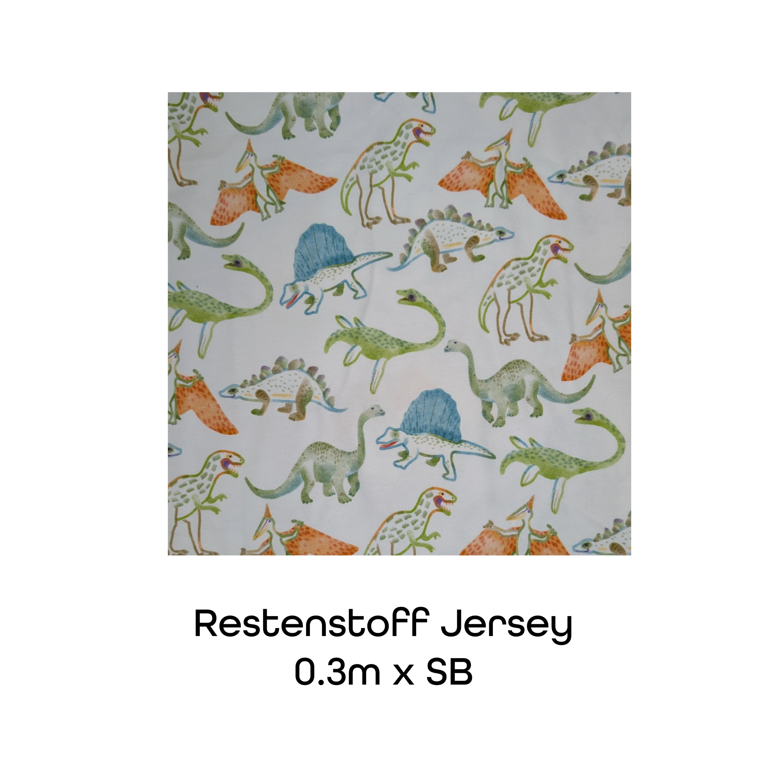 R-064 Restenstoff Jersey – Bild 1