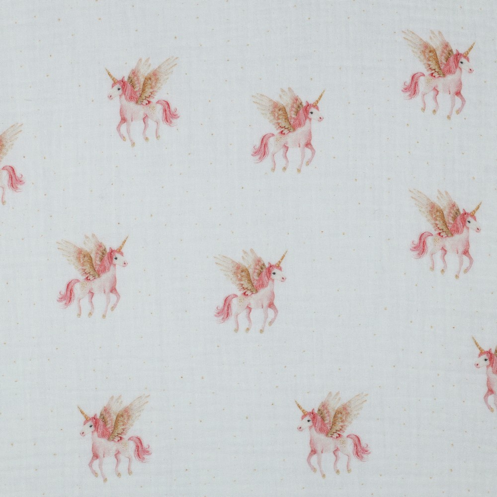 06145.001_mainimage Das kleine Einhorn mit Flügel – Bild 1