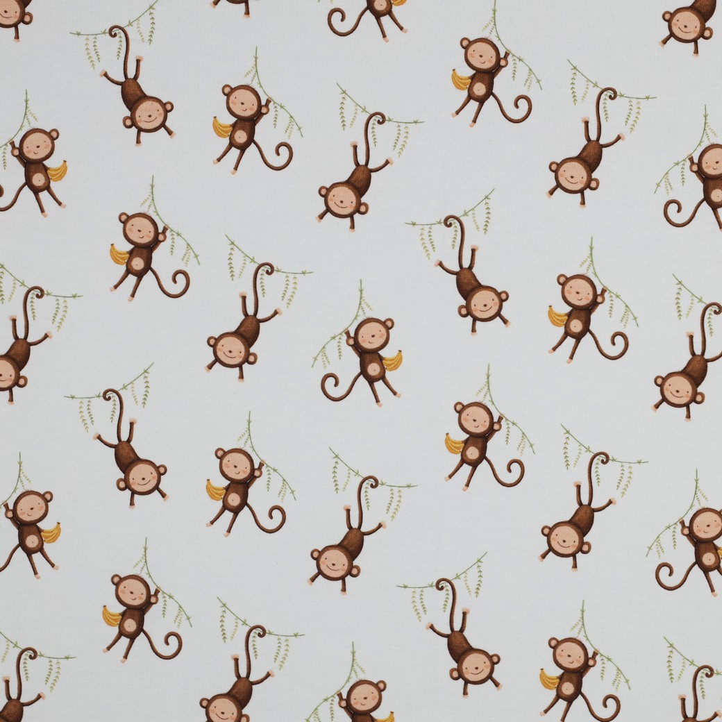 06399.021_mainimage Der kleine Affe – Bild 1