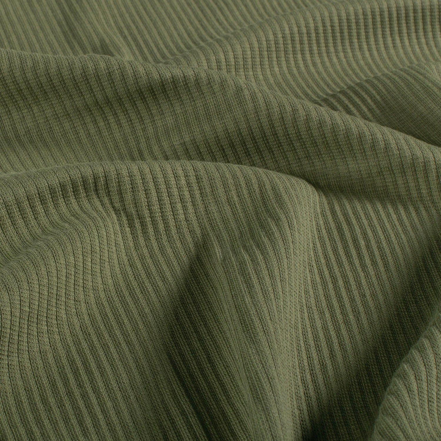 RIB-Tannengrün 028 Rib-Jersey - Tannengrün – Bild 1