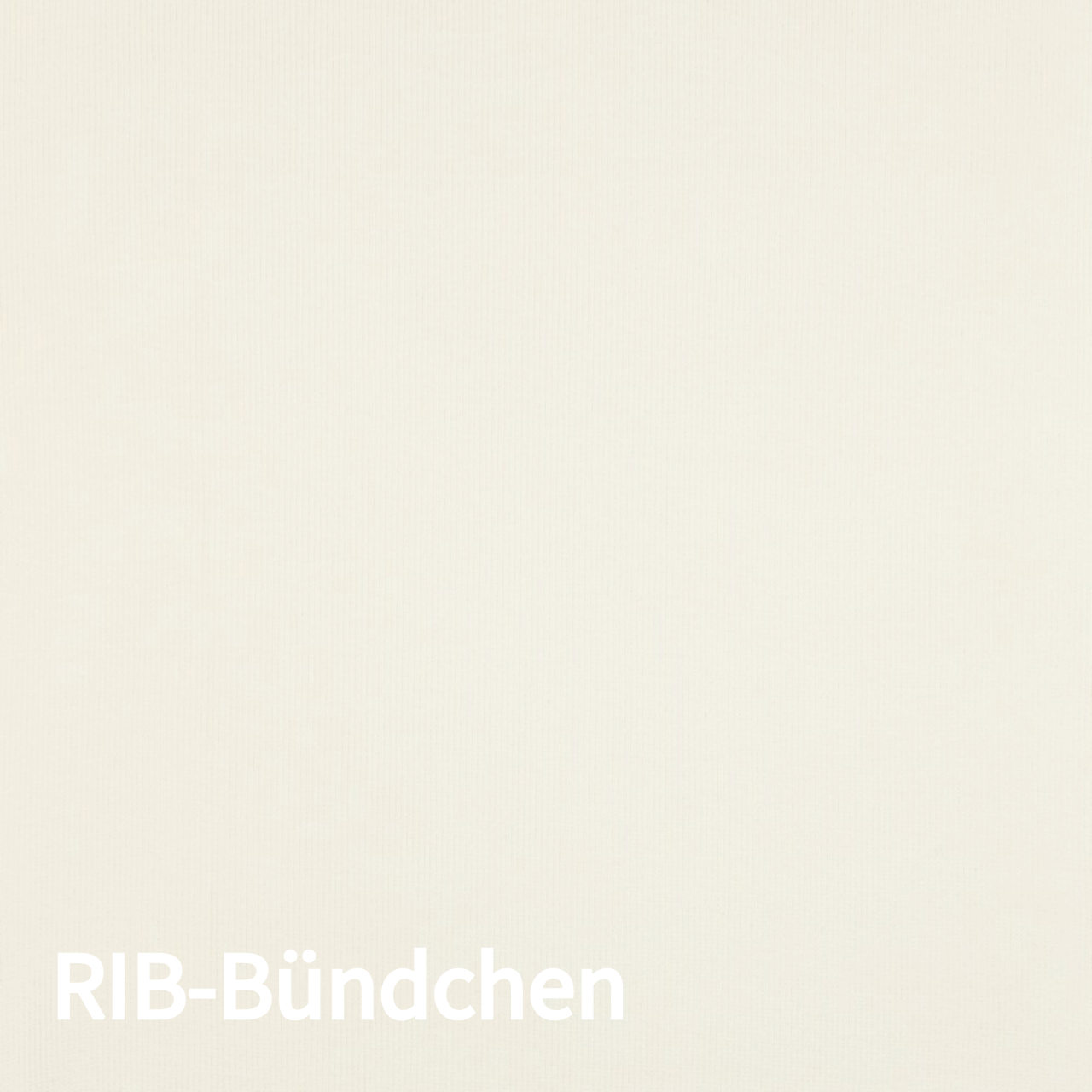 Unbenannt-3(5) Bündchen RIB - GOTS - Ecru – Bild 1