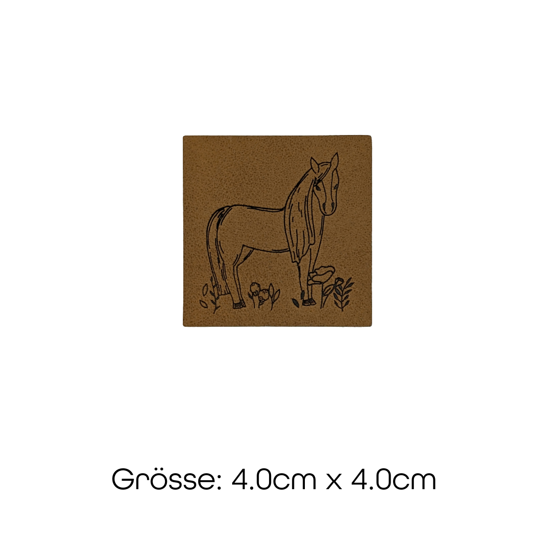 Unbenannt-3(21) Haflinger Pferd – Bild 1