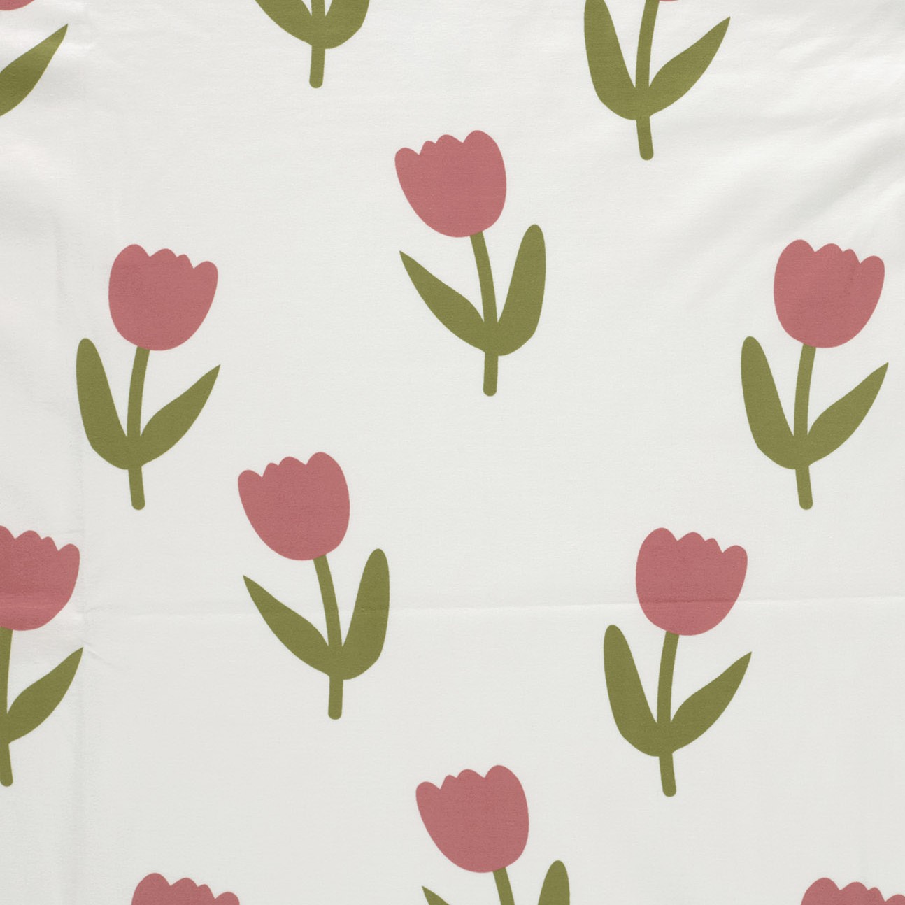 25672_051_2 Tulpen – Bild 1