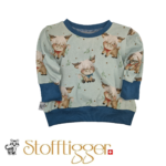 Pullover - 68/74