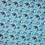 Unterwasserwelt Orcas