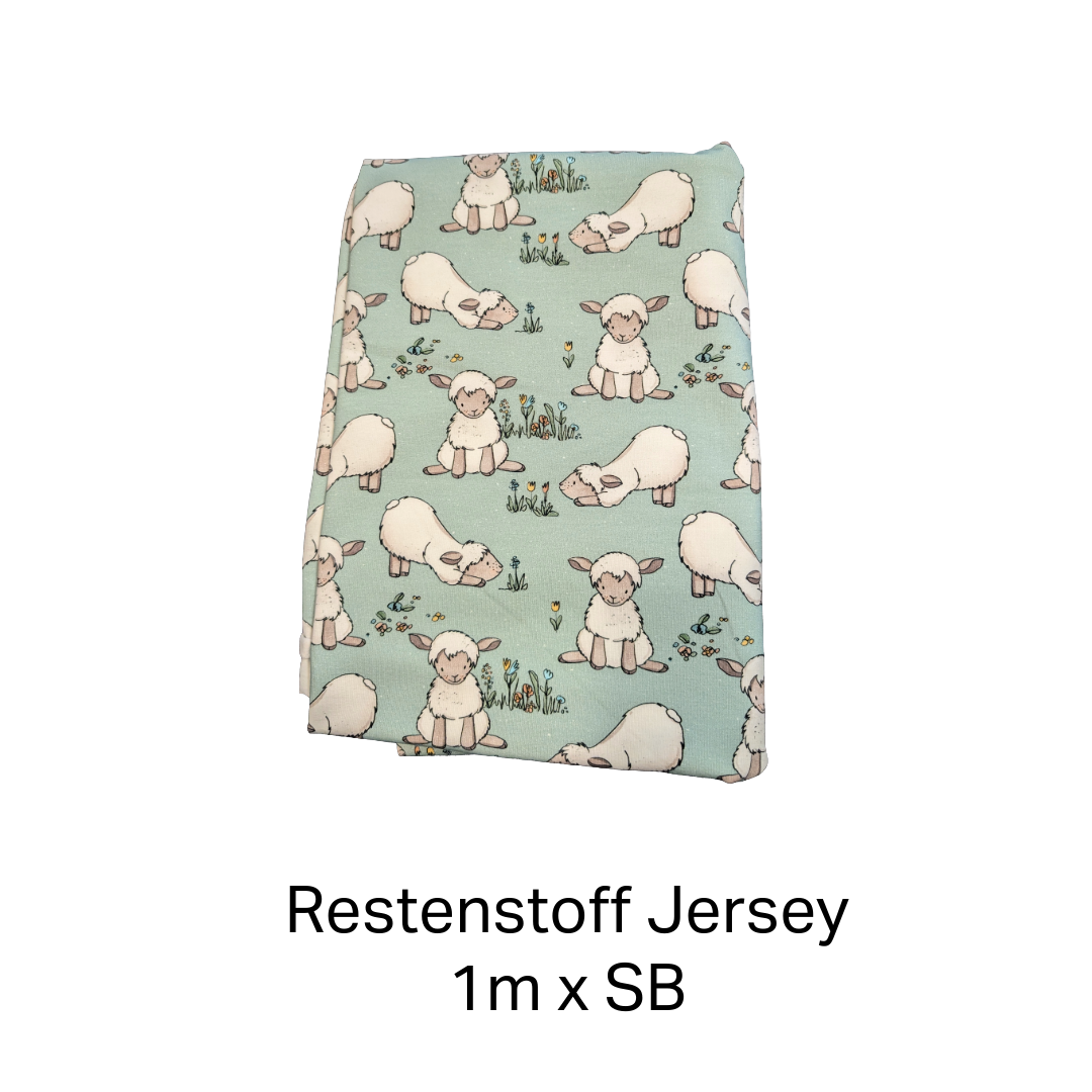 Unbenannt - 17. Februar 2026 um 21.40.12 Restenstoff - Jersey – Bild 1