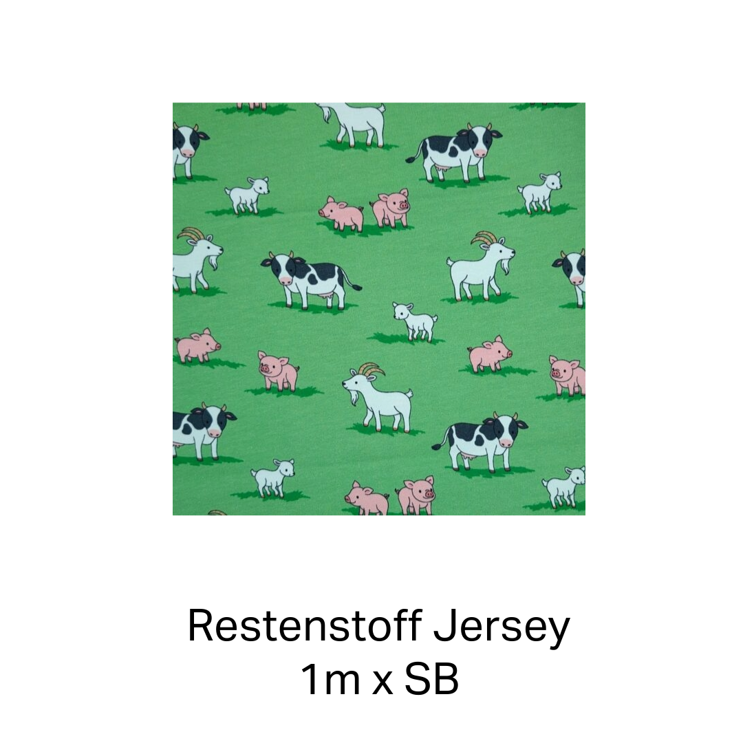 Unbenannt - 17. Februar 2026 um 21.40.12 Restenstoff - Jersey – Bild 1