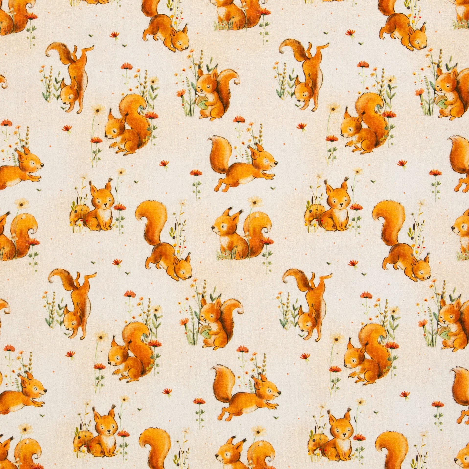2026/09/1925.jpg Eichhörnchen in der Natur - beige – Bild 1